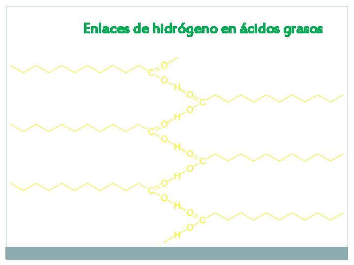 Enlaces de hidrógeno en ácidos grasos 