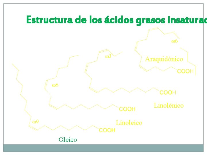 Estructura de los ácidos grasos insaturad Araquidónico Linolénico Linoleico Oleico 