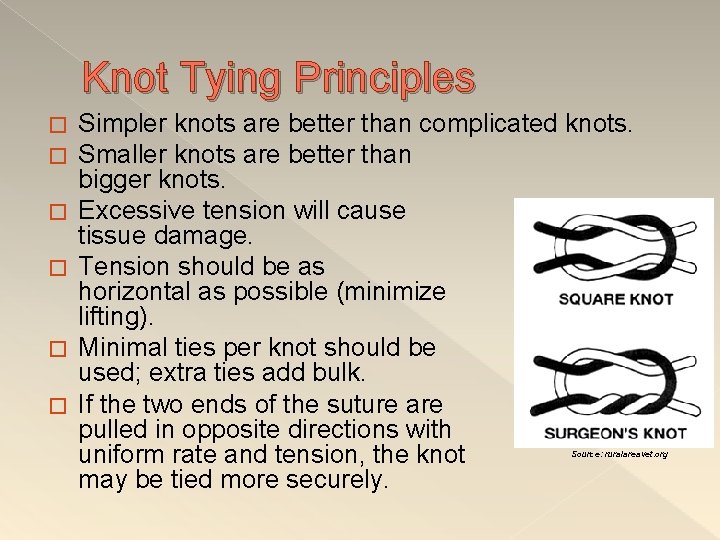 Knot Tying Principles � � � Simpler knots are better than complicated knots. Smaller