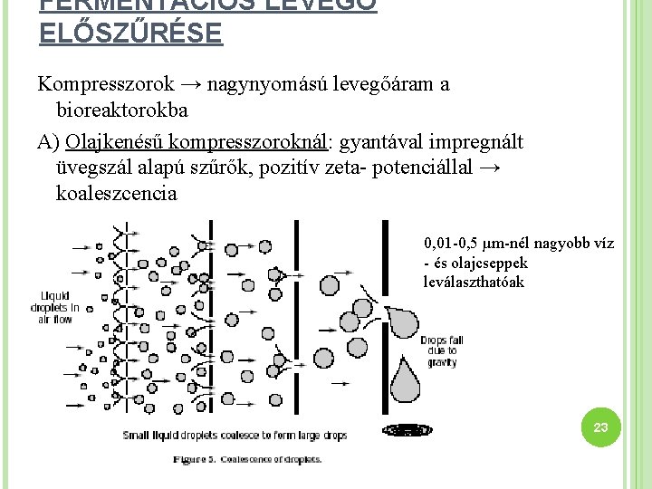 FERMENTÁCIÓS LEVEGŐ ELŐSZŰRÉSE Kompresszorok → nagynyomású levegőáram a bioreaktorokba A) Olajkenésű kompresszoroknál: gyantával impregnált