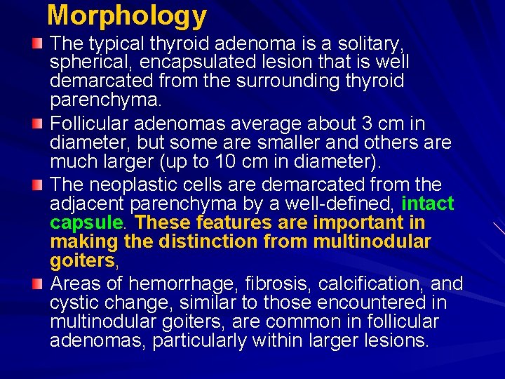 Morphology The typical thyroid adenoma is a solitary, spherical, encapsulated lesion that is well Morphology The typical thyroid adenoma is a solitary, spherical, encapsulated lesion that is well