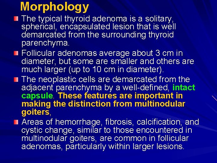 Morphology The typical thyroid adenoma is a solitary, spherical, encapsulated lesion that is well