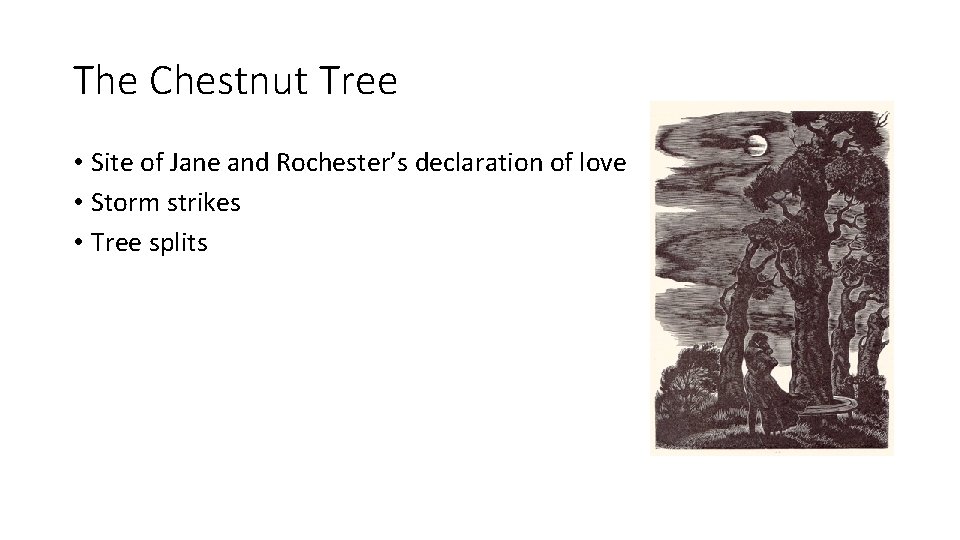 The Chestnut Tree • Site of Jane and Rochester’s declaration of love • Storm The Chestnut Tree • Site of Jane and Rochester’s declaration of love • Storm