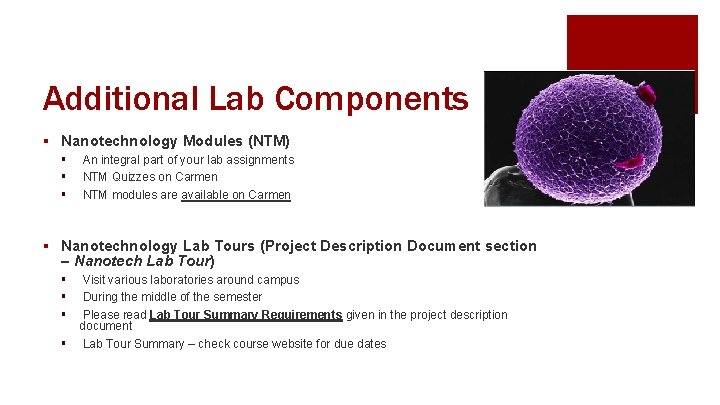 Additional Lab Components § Nanotechnology Modules (NTM) § § § An integral part of