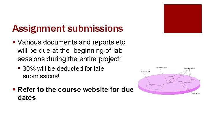 Assignment submissions § Various documents and reports etc. will be due at the beginning