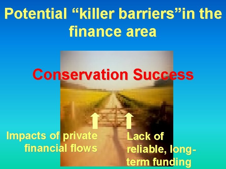 Potential “killer barriers”in the finance area Conservation Success Impacts of private financial flows Lack