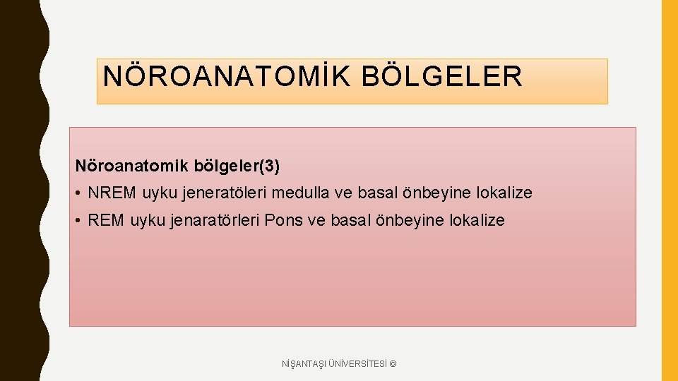 NÖROANATOMİK BÖLGELER Nöroanatomik bölgeler(3) • NREM uyku jeneratöleri medulla ve basal önbeyine lokalize •