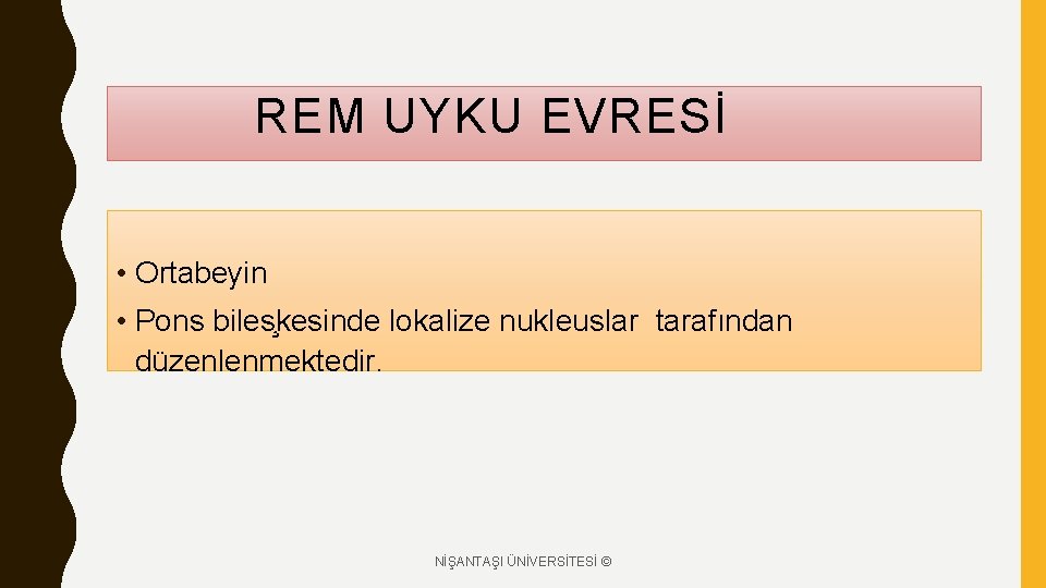 REM UYKU EVRESİ • Ortabeyin • Pons biles kesinde lokalize nukleuslar tarafından düzenlenmektedir. NİŞANTAŞI