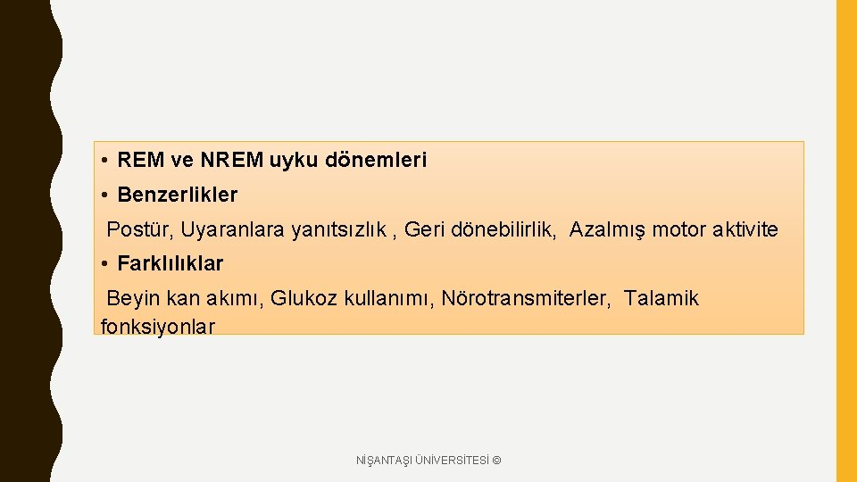  • REM ve NREM uyku dönemleri • Benzerlikler Postür, Uyaranlara yanıtsızlık , Geri