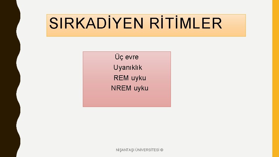 SIRKADİYEN RİTİMLER Üç evre Uyanıklık REM uyku NİŞANTAŞI ÜNİVERSİTESİ © 