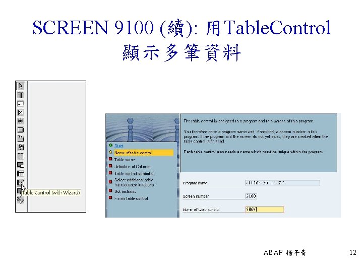 SCREEN 9100 (續): 用Table. Control 顯示多筆資料 ABAP 楊子青 12 