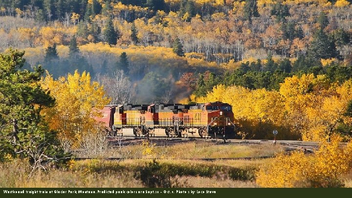 Westbound freight train at Glacier Park, Montana. Predicted peak colors are Sept. 28 –