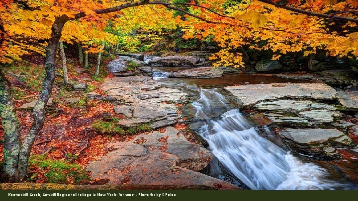 Kaaterskill Creek, Catskill Region fall foliage in New York. Farmers’. Photo #31 by E