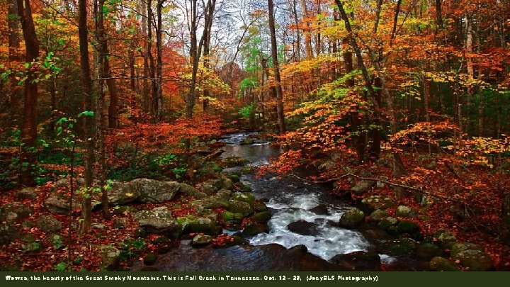 Wowza, the beauty of the Great Smoky Mountains. This is Fall Creek in Tennessee.