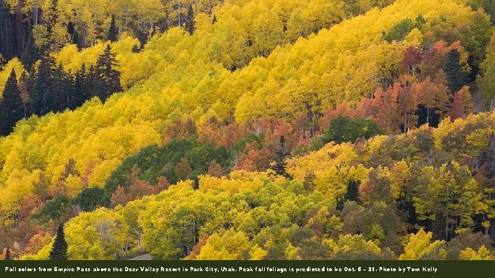 Fall colors from Empire Pass above the Deer Valley Resort in Park City, Utah.