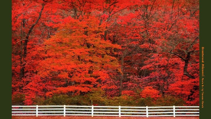 Grantwood. Missouri. Photo #24 by Thomas Hawk 