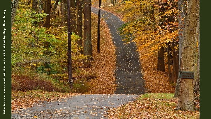 Fall colors on a country road tucked in the back hills of Basking Ridge