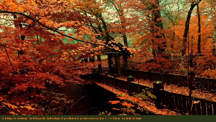 A Bridge to Autumn” in Wisconsin. Fall foliage is predicted to peak between Oct.