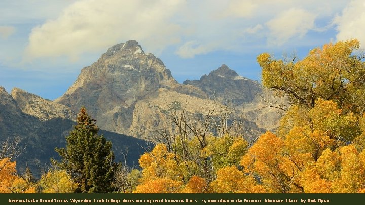 Autumn in the Grand Tetons, Wyoming. Peak foliage dates are expected between Oct. 5