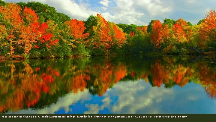 Old Ice Pond at Hinkley Park, ” Maine. Autumn fall foliage in Maine is