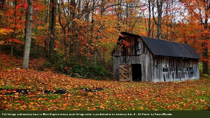 Fall foliage and country-barn in West Virginia where peak foliage color is predicted to