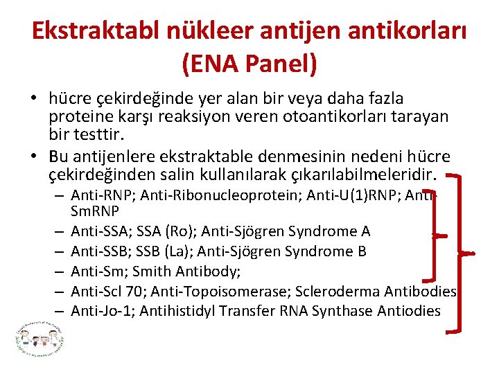 Ekstraktabl nükleer antijen antikorları (ENA Panel) • hücre çekirdeğinde yer alan bir veya daha