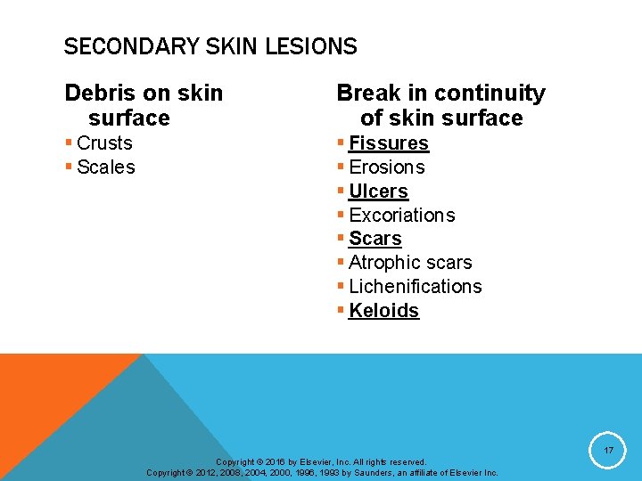 SECONDARY SKIN LESIONS Debris on skin surface Break in continuity of skin surface §