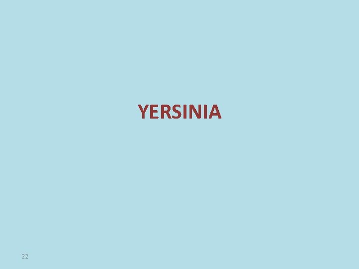 YERSINIA 22 