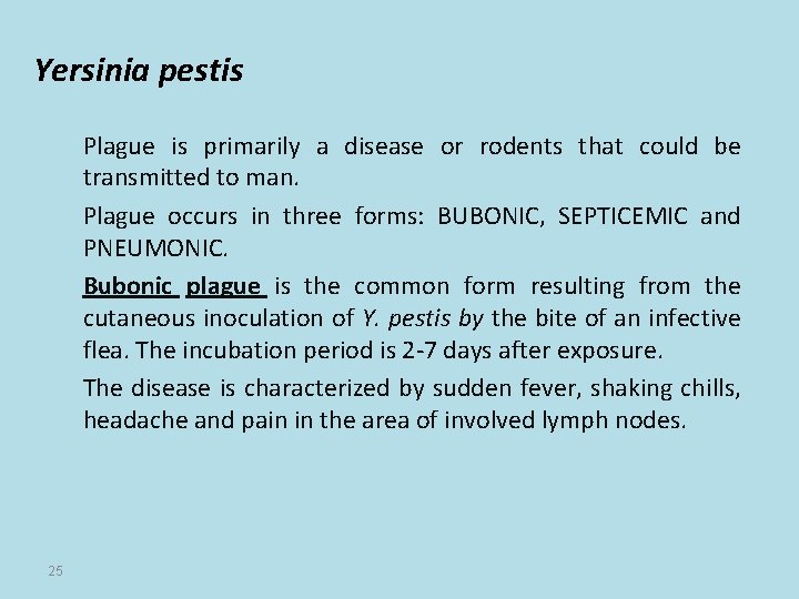 Yersinia pestis Plague is primarily a disease or rodents that could be transmitted to