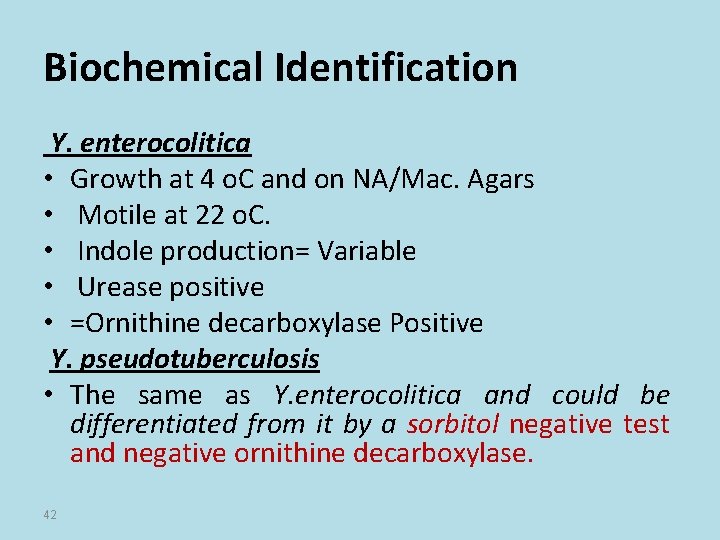 Biochemical Identification Y. enterocolitica • Growth at 4 o. C and on NA/Mac. Agars