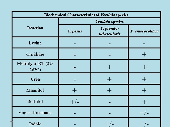 Biochemical Characteristics of Yersinia species Reaction Y. pestis Y. pseudotuberculosis Y. enterocolitica Ornithine -