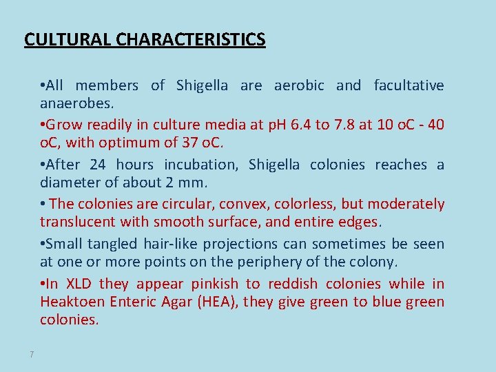 CULTURAL CHARACTERISTICS • All members of Shigella are aerobic and facultative anaerobes. • Grow