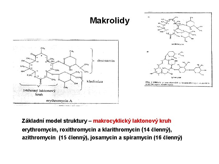 Makrolidy Základní model struktury – makrocyklický laktonový kruh erythromycin, roxithromycin a klarithromycin (14 členný),