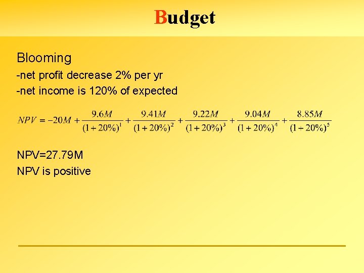 Budget Blooming -net profit decrease 2% per yr -net income is 120% of expected