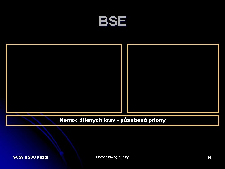 BSE Nemoc šílených krav - působená priony SOŠS a SOU Kadaň Obecná biologie -