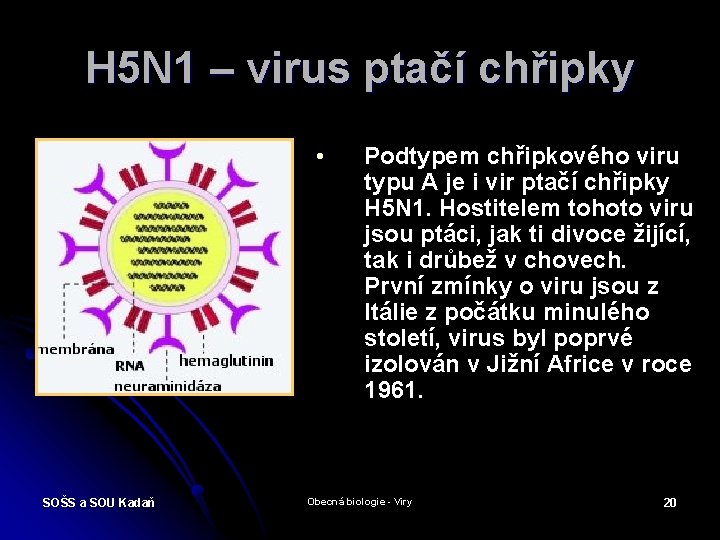 H 5 N 1 – virus ptačí chřipky • SOŠS a SOU Kadaň Podtypem