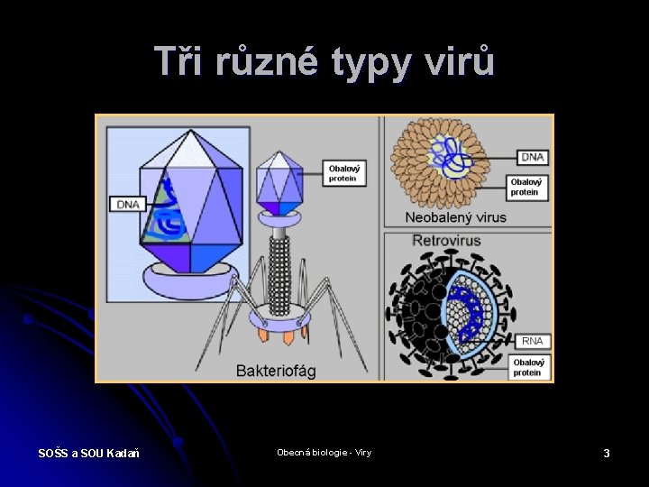 Tři různé typy virů SOŠS a SOU Kadaň Obecná biologie - Viry 3 