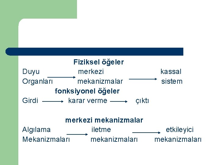 Fiziksel öğeler Duyu merkezi Organları mekanizmalar fonksiyonel öğeler Girdi karar verme kassal sistem çıktı