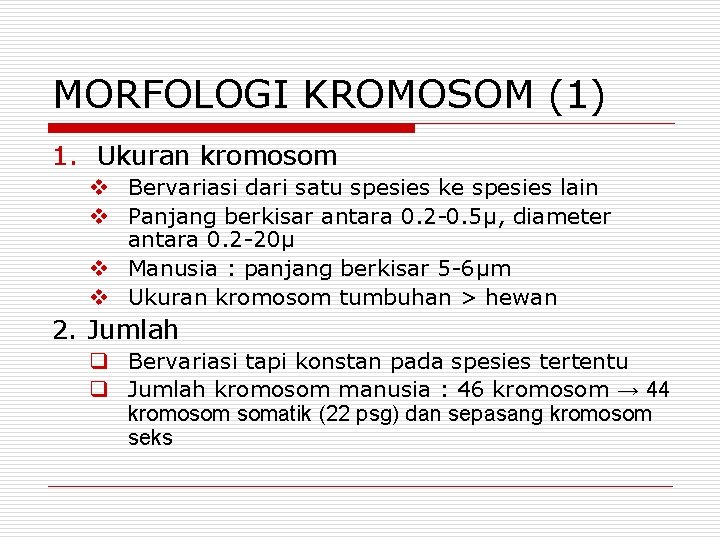 MORFOLOGI KROMOSOM (1) 1. Ukuran kromosom v Bervariasi dari satu spesies ke spesies lain