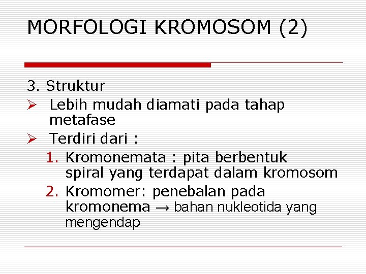 MORFOLOGI KROMOSOM (2) 3. Struktur Ø Lebih mudah diamati pada tahap metafase Ø Terdiri