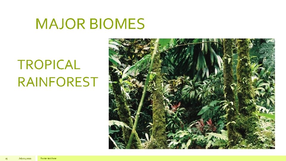 MAJOR BIOMES TROPICAL RAINFOREST 15 July 22, 2012 Footer text here 