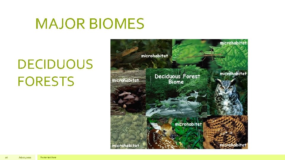 MAJOR BIOMES DECIDUOUS FORESTS 16 July 22, 2012 Footer text here 