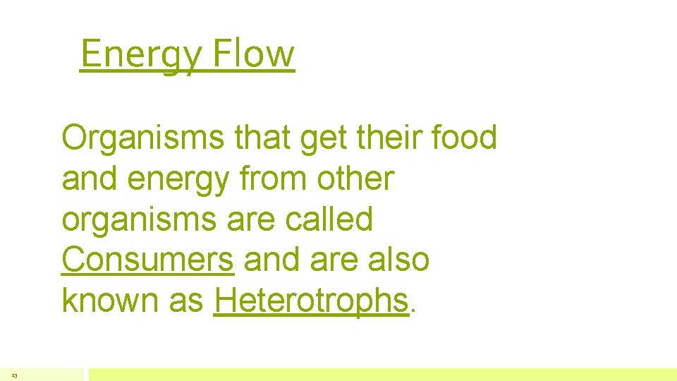 Energy Flow Organisms that get their food and energy from other organisms are called