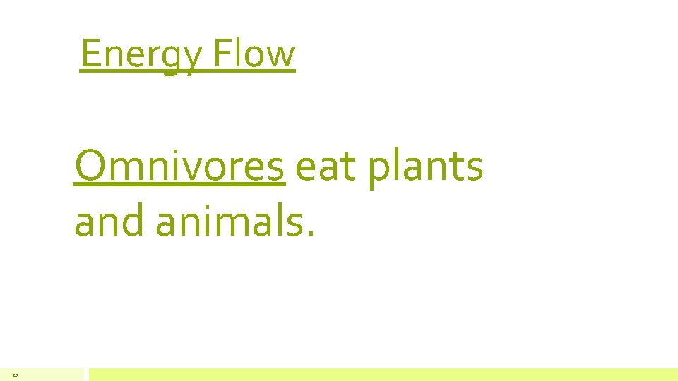 Energy Flow Omnivores eat plants and animals. 27 