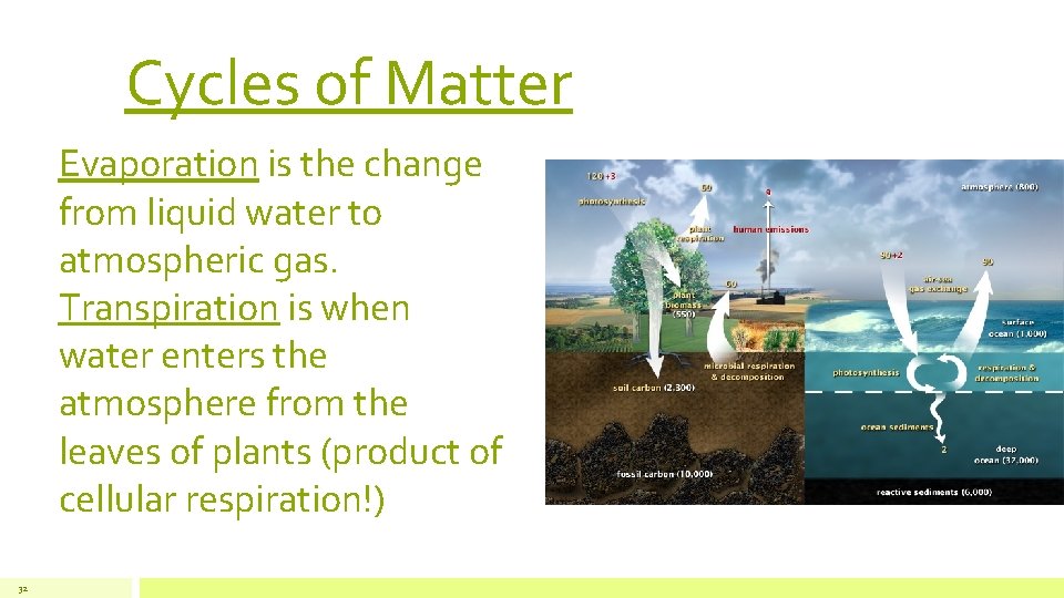 Cycles of Matter Evaporation is the change from liquid water to atmospheric gas. Transpiration