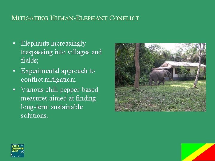 MITIGATING HUMAN-ELEPHANT CONFLICT • Elephants increasingly trespassing into villages and fields; • Experimental approach