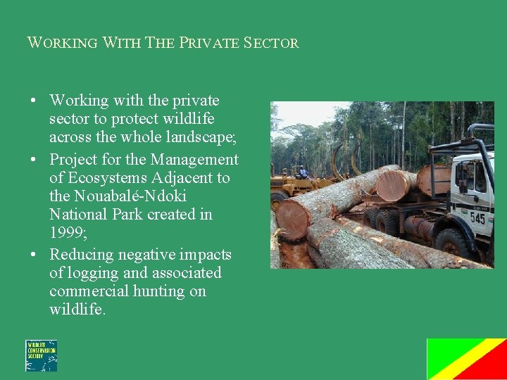 WORKING WITH THE PRIVATE SECTOR • Working with the private sector to protect wildlife