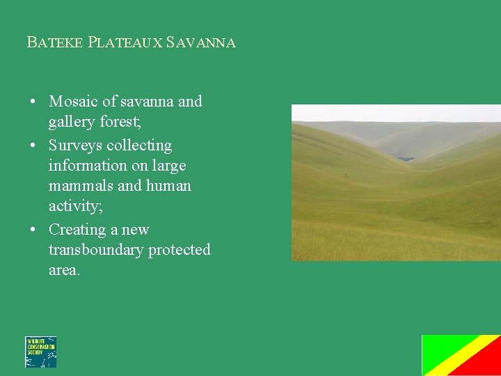 BATEKE PLATEAUX SAVANNA • Mosaic of savanna and gallery forest; • Surveys collecting information