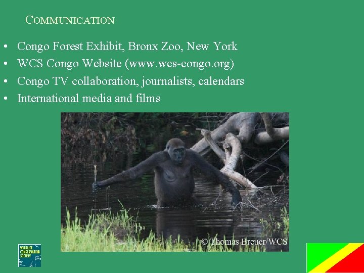 COMMUNICATION • • Congo Forest Exhibit, Bronx Zoo, New York WCS Congo Website (www.