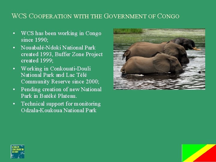 WCS COOPERATION WITH THE GOVERNMENT OF CONGO • WCS has been working in Congo